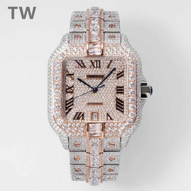 c-a-t-i-e-r watches
