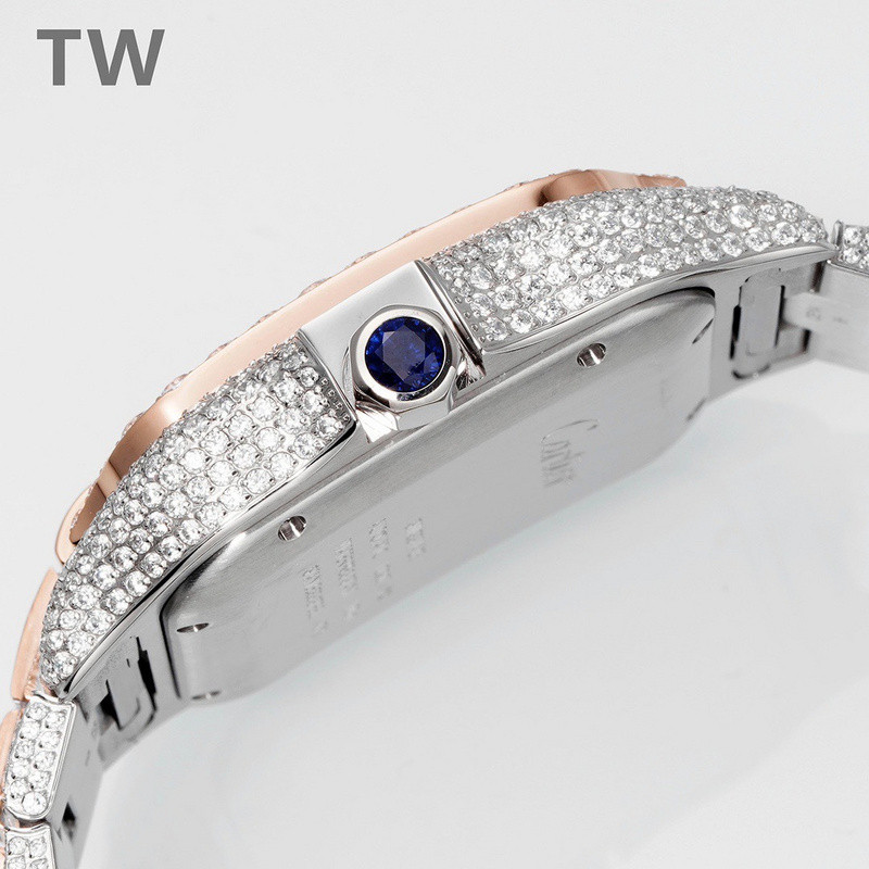 c-a-t-i-e-r watches