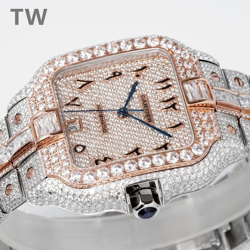 c-a-t-i-e-r watches