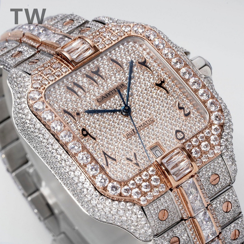 c-a-t-i-e-r watches