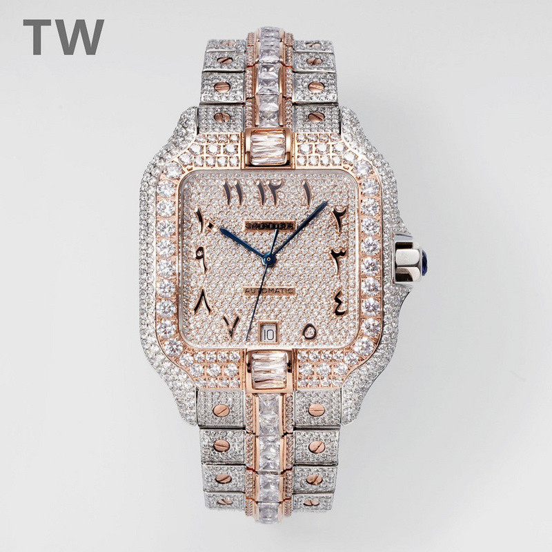 c-a-t-i-e-r watches