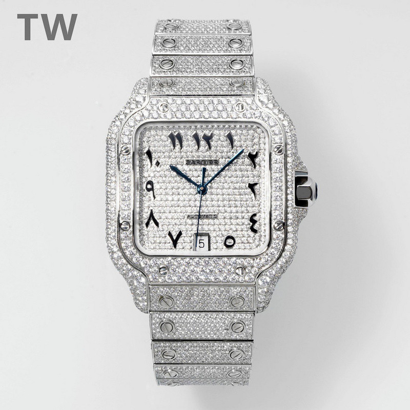 c-a-t-i-e-r watches