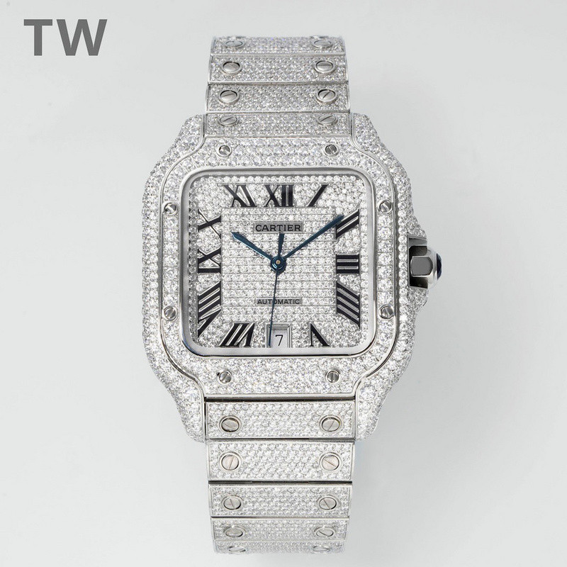 c-a-t-i-e-r watches