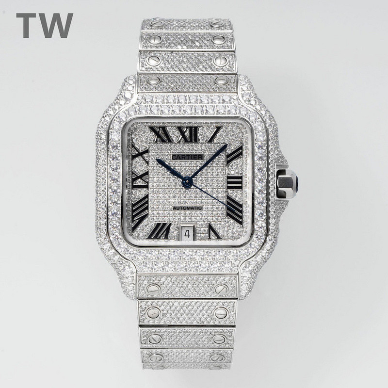 c-a-t-i-e-r watches